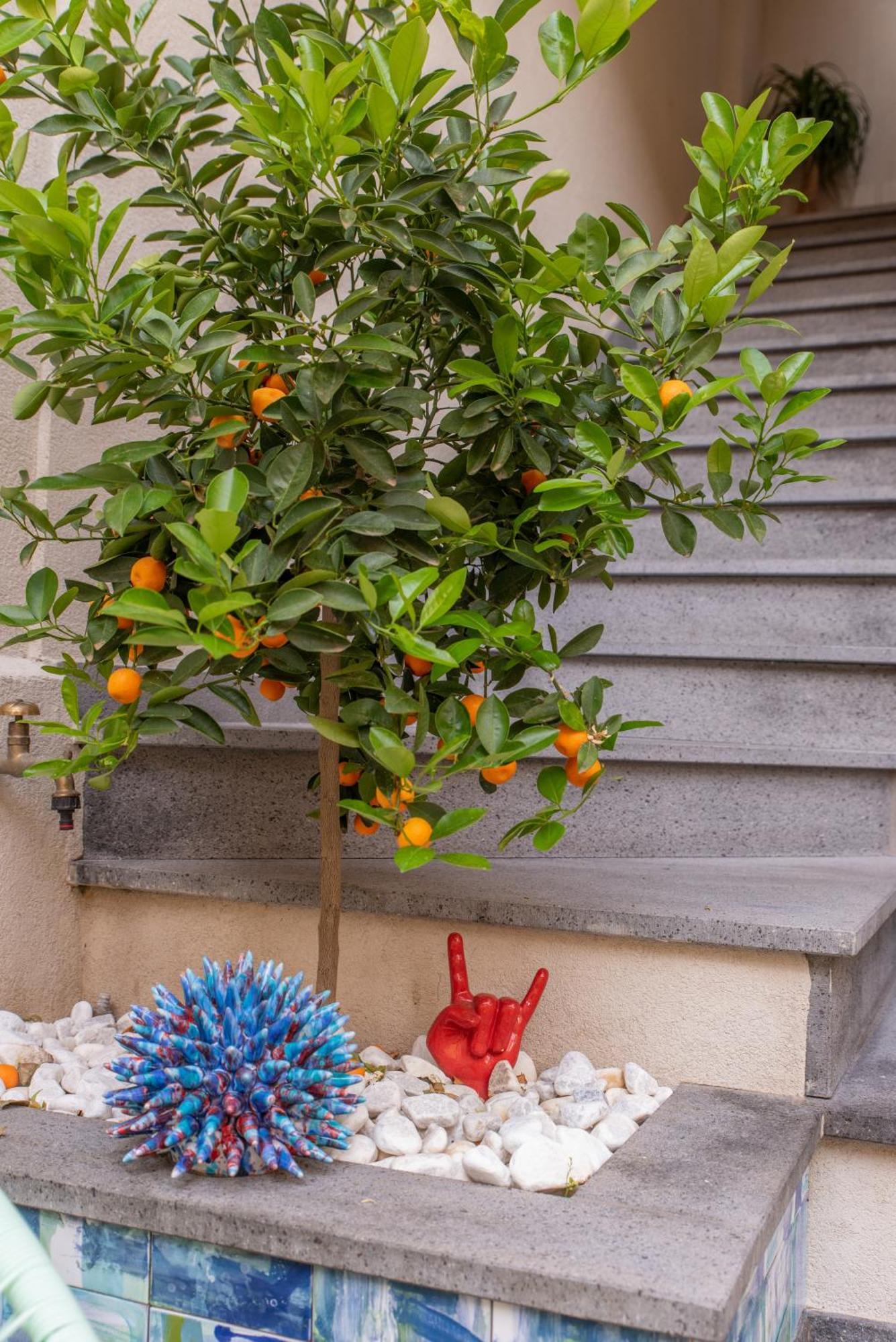 Villa D'Orville Luxury Suites Taormina Zewnętrze zdjęcie